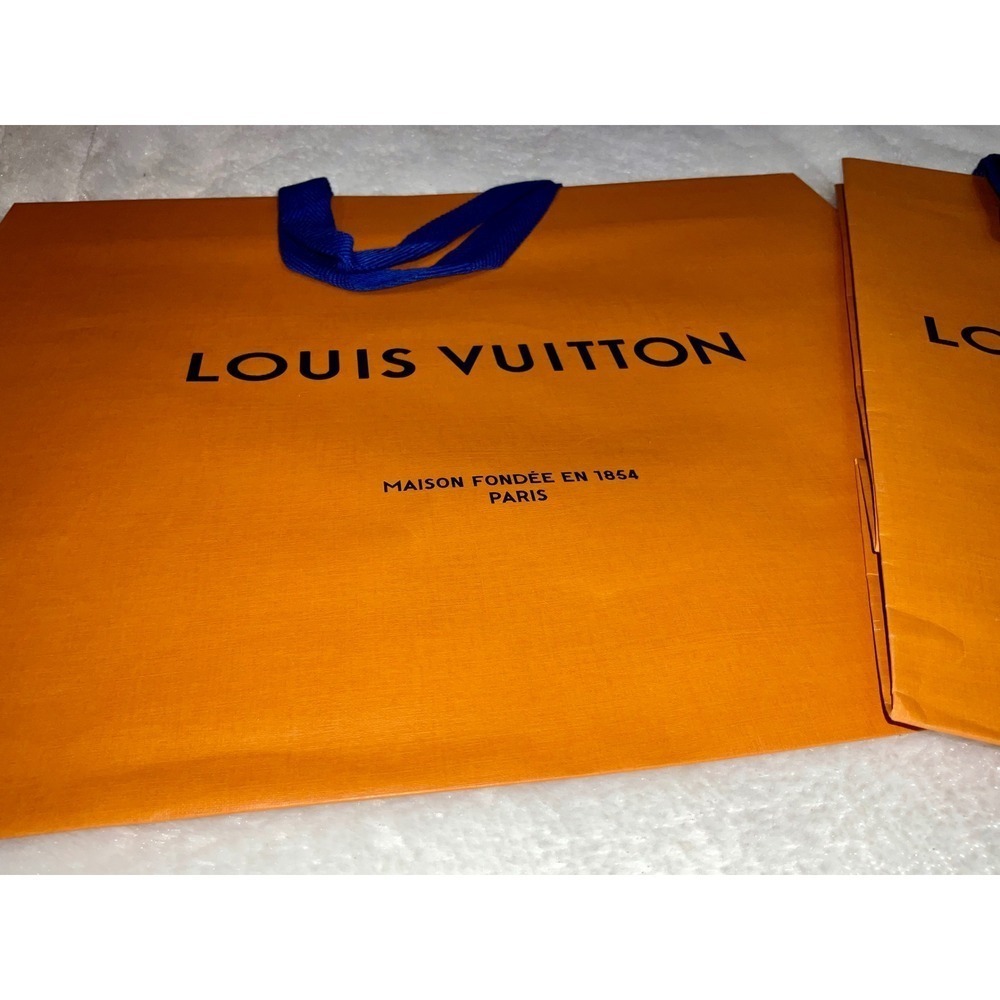 Louis Vuitton Shopping Gift Bags - Picture 4 of 8